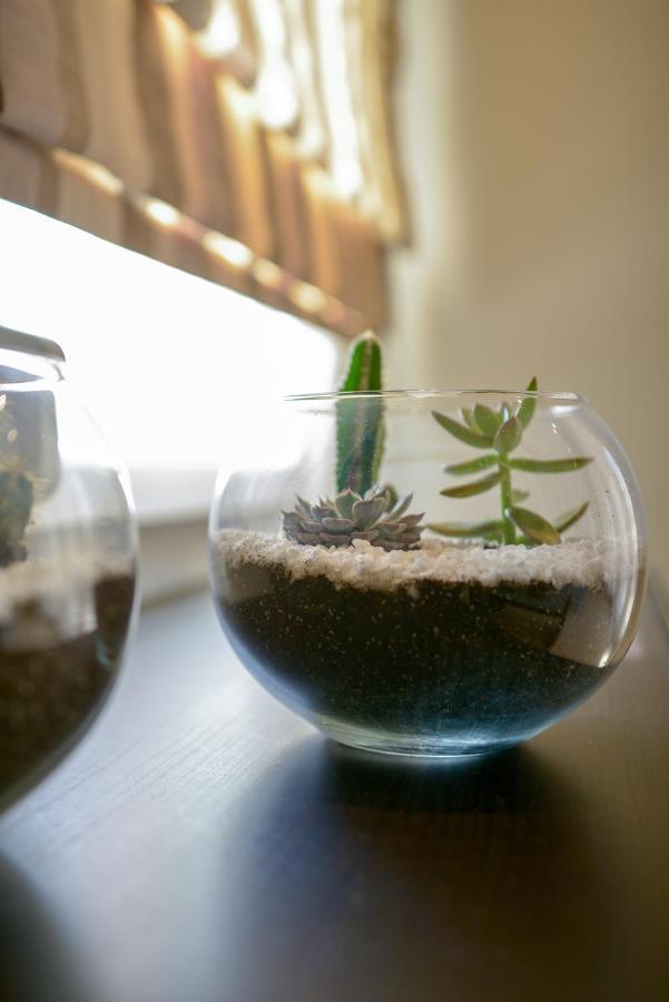 Apartment Serenity *
